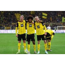 Borussia Dortmund 2-0 VfB Stuttgart
